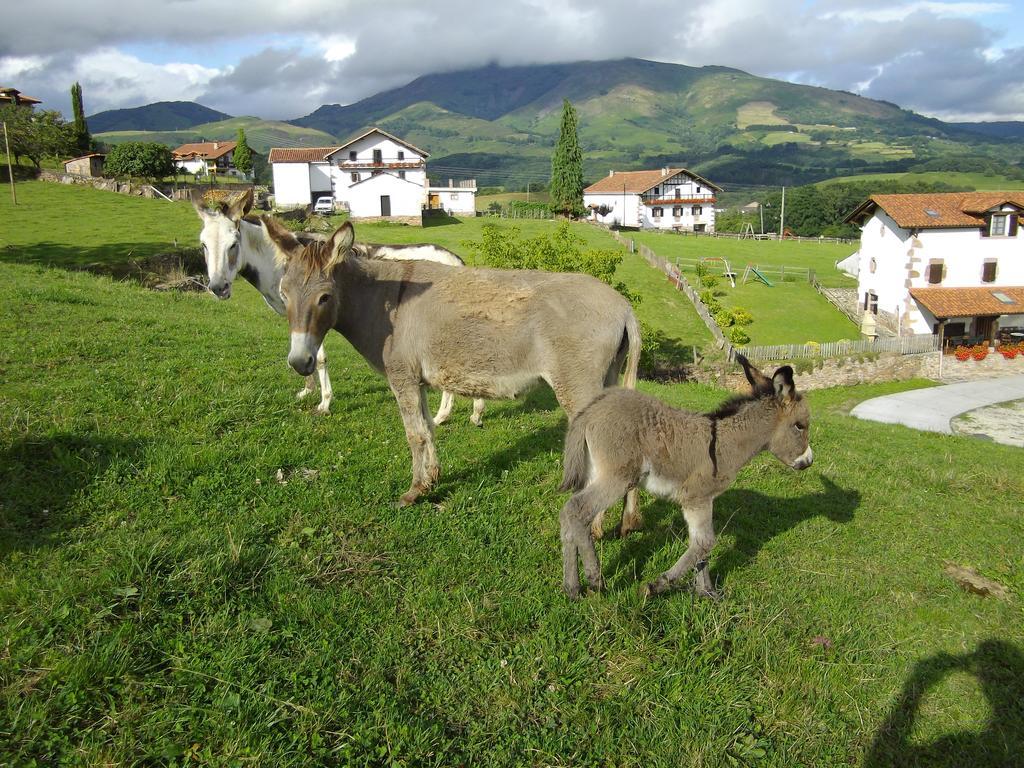 Casa Rural Petisansenea II Zuaztoy de Azpilcueta Ngoại thất bức ảnh